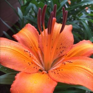 Meet your Posher, Mikayla